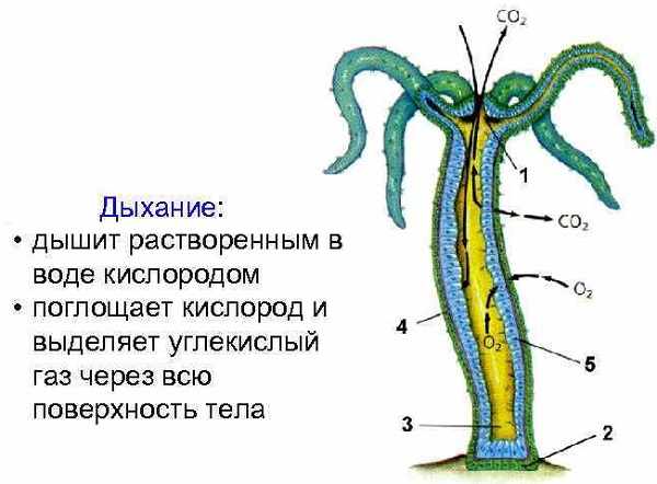 Omg площадка торговая