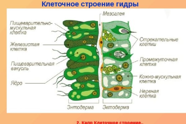 Омг омг ссылка телеграм